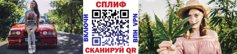 Гашиш Канск