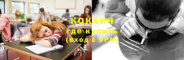 шишки Армянск