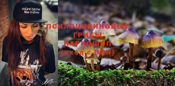бутират Арсеньев