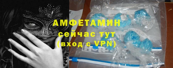шишки Армянск