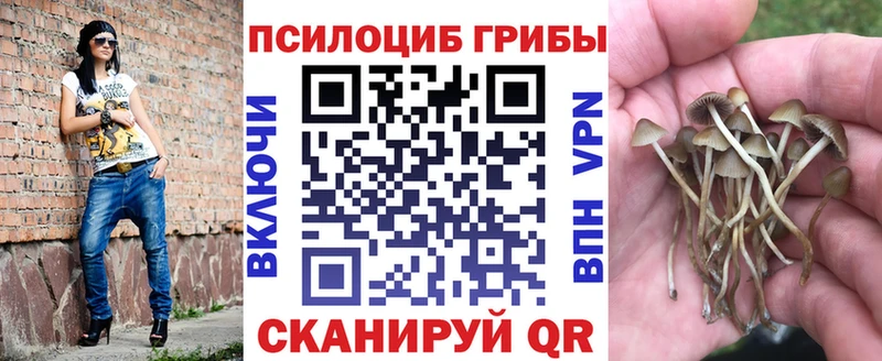 Галлюциногенные грибы Psilocybe  Канск 